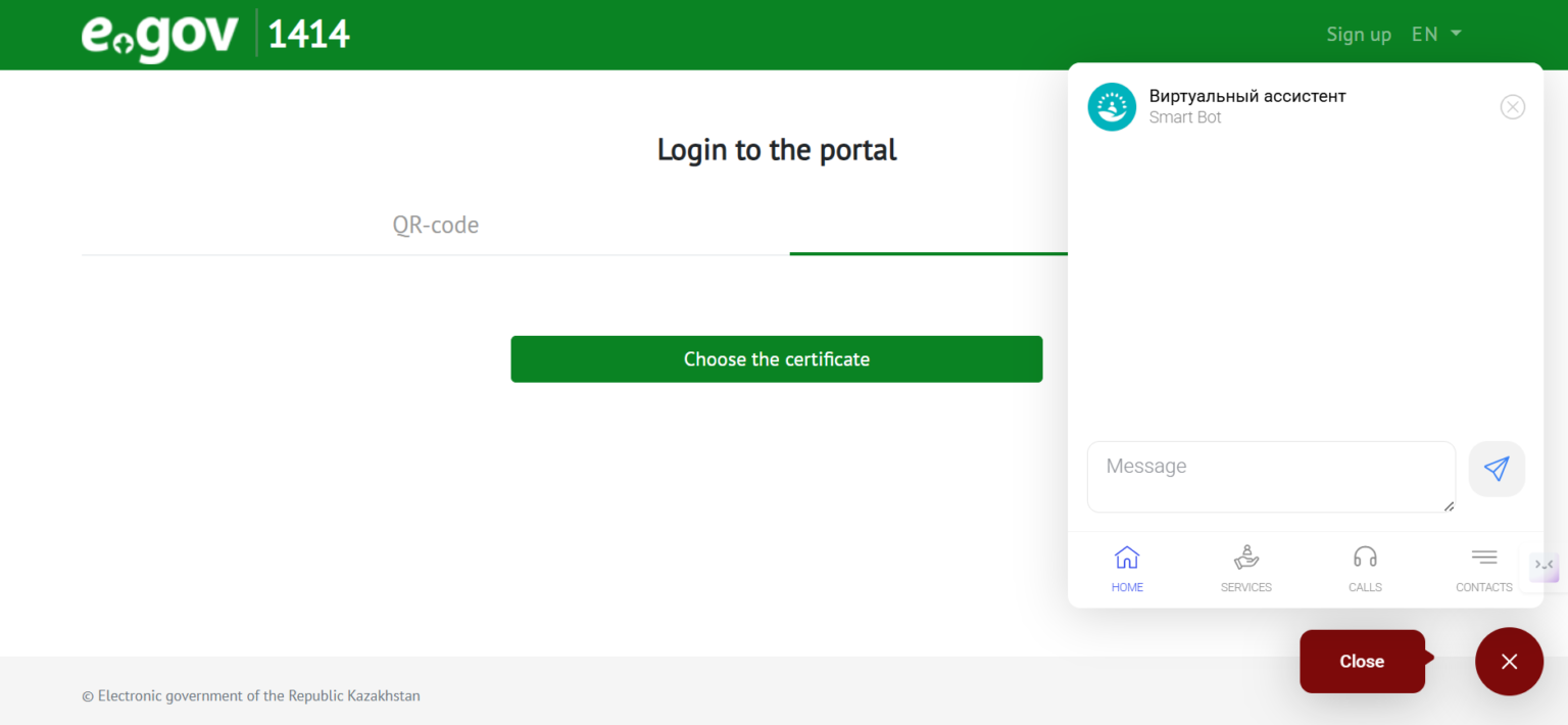 Visa application process